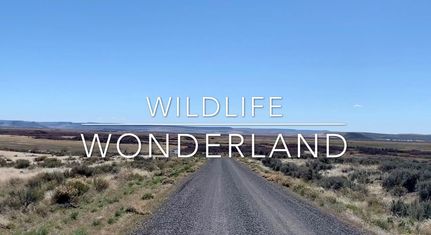 Undeveloped Land in Harney County, Oregon
