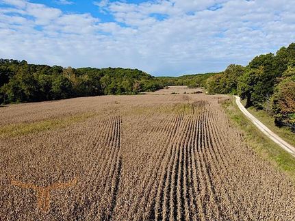 Timberland Property in Pike County, Illinois