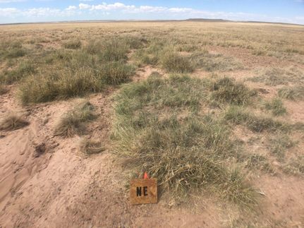 Farm and Ranch in Navajo County, Arizona