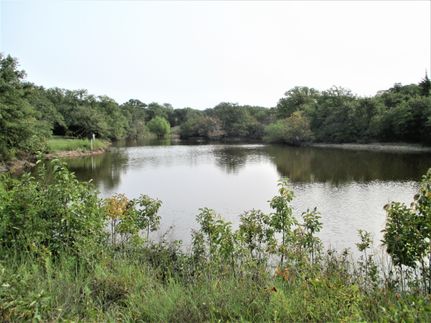 Timberland Property in Montague County, Texas