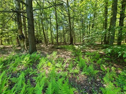 Undeveloped Land in Sullivan County, New York