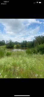 Land in Panola County, Mississippi