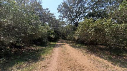 Timberland Property in Colorado County, Texas