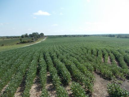 Farm and Ranch in Gentry County, Missouri