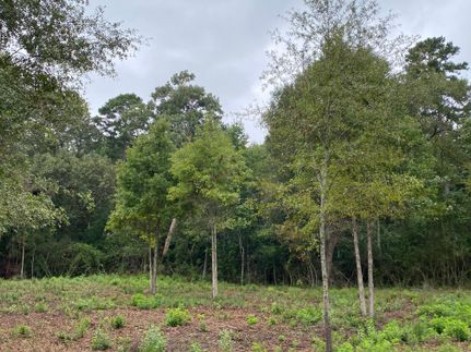 Land in Panola County, Texas