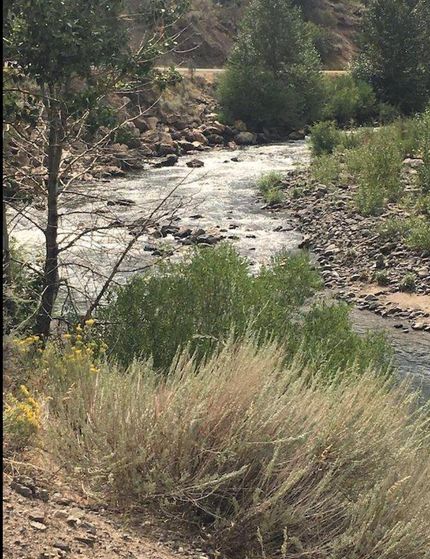 Waterfront Property in Alpine County, California