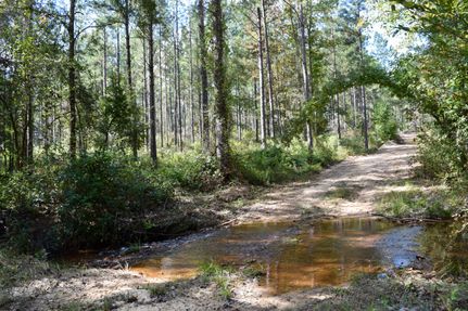 Timberland Property in Taylor County, Georgia