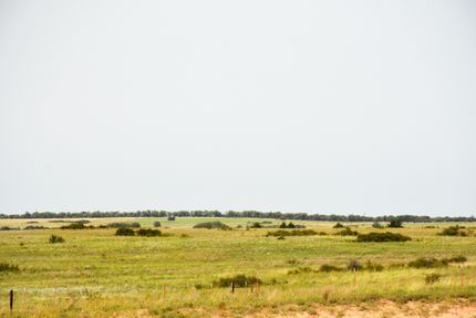 Farm and Ranch in Wheeler County, Texas