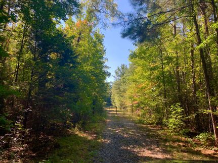 Undeveloped Land in Tuscaloosa County, Alabama