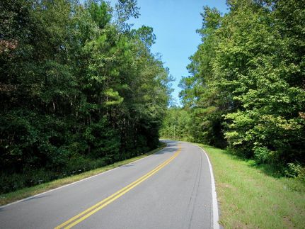 Undeveloped Land in Colleton County, South Carolina