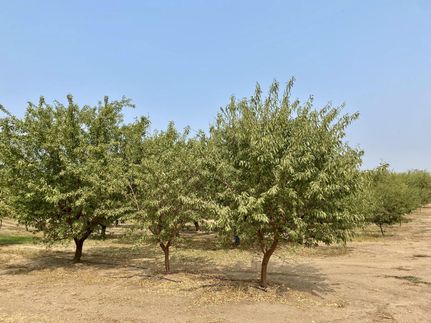 Undeveloped Land in Stanislaus County, California
