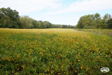 Land in Ralls County, Missouri