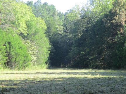 Farm and Ranch in Monroe County, Mississippi