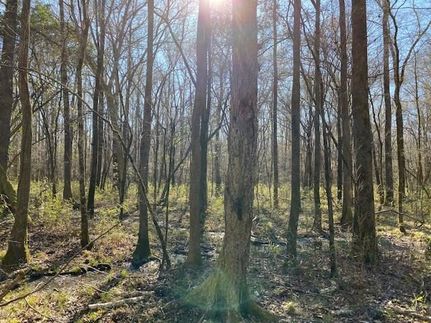 Recreational Property in Macon County, Alabama