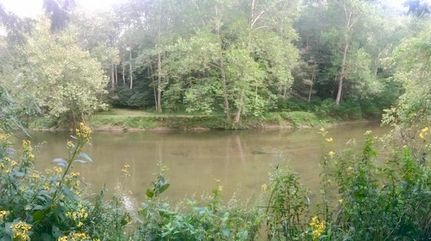 Farm and Ranch in Floyd County, Virginia