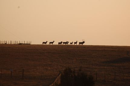 Recreational Property in San Miguel County, New Mexico