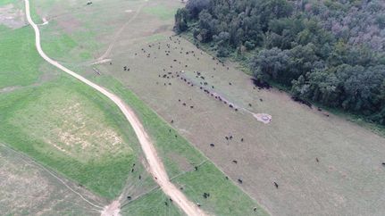 Land in Madison County, Florida
