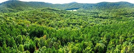 Land in Gilmer County, Georgia