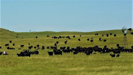 Farm and Ranch in Logan County, Nebraska