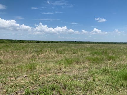 Undeveloped Land in Guadalupe County, Texas