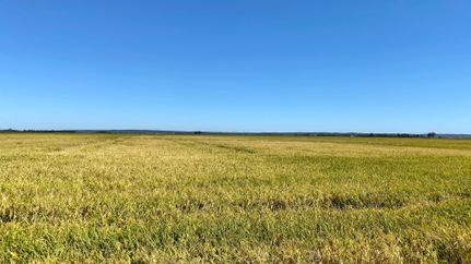 Farm and Ranch in Greene County, Arkansas