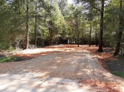 Undeveloped Land in Polk County, Texas