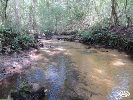 Farm and Ranch in Covington County, Mississippi