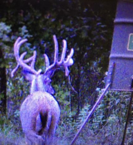 Timberland Property in Lafayette County, Arkansas