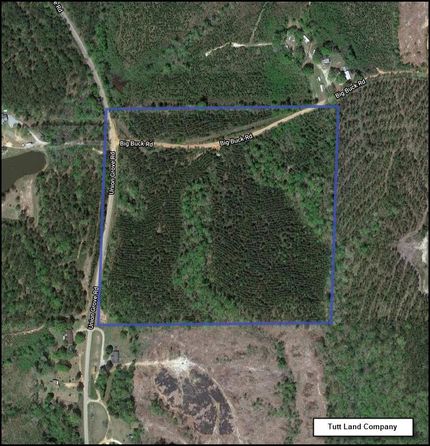 Recreational Property in Marengo County, Alabama