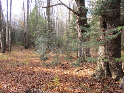 Farm and Ranch in Taylor County, Wisconsin