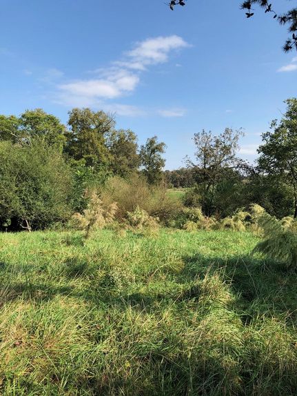 Land in Anson County, North Carolina