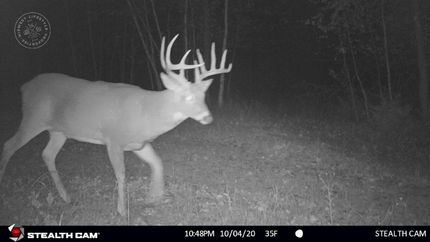 Recreational Property in Monroe County, Wisconsin