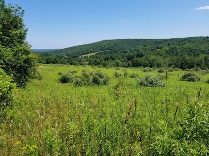Recreational Property in Tioga County, New York