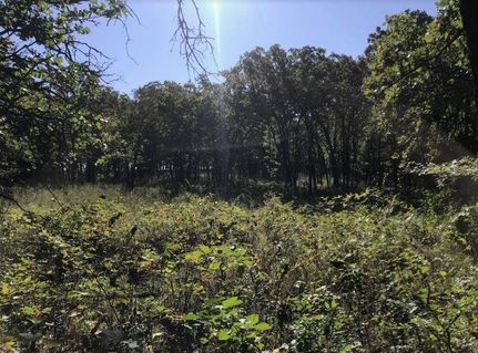 Timberland Property in Hughes County, Oklahoma