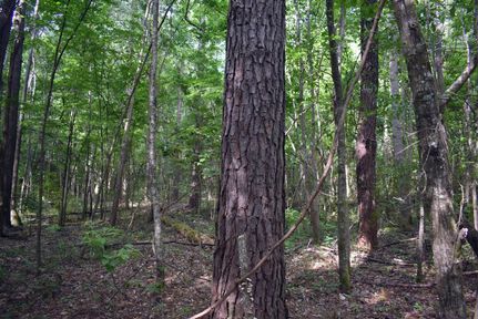 Recreational Property in Pike County, Alabama