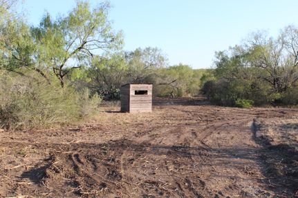 Farm and Ranch in Frio County, Texas