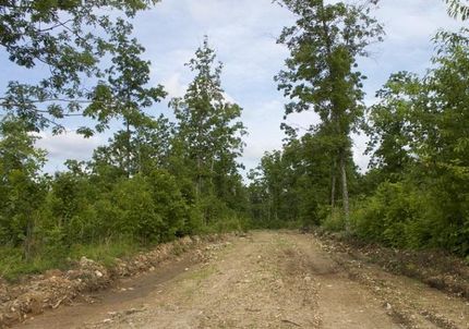 Undeveloped Land in Shannon County, Missouri