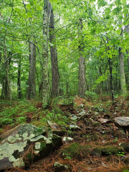 Land in Van Buren County, Tennessee