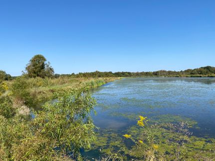 Farm and Ranch in Humphreys County, Mississippi