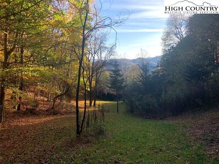 Timberland Property in Grayson County, Virginia