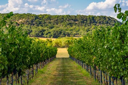 Timberland Property in Gillespie County, Texas