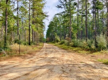 Timberland Property in George County, Mississippi
