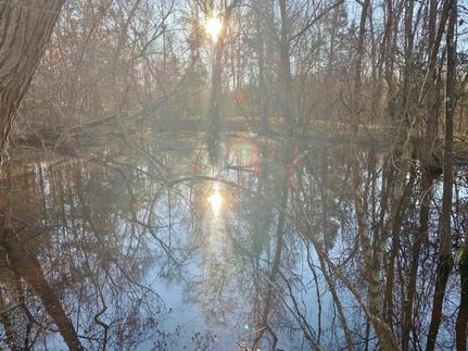 Land in Yazoo County, Mississippi