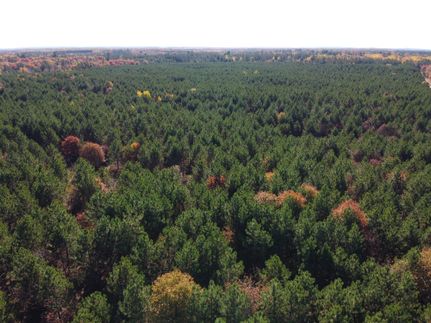 Timberland Property in Burnett County, Wisconsin