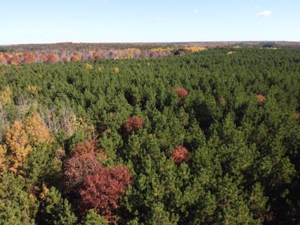 Farm and Ranch in Burnett County, Wisconsin