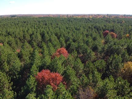 Farm and Ranch in Burnett County, Wisconsin