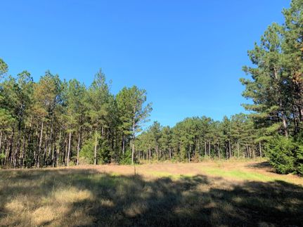 Recreational Property in Lincoln County, Georgia