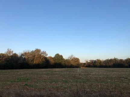 Farm and Ranch in Lauderdale County, Alabama