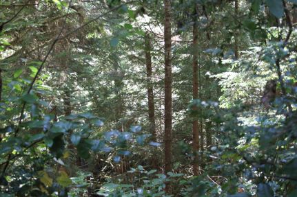 Recreational Property in Lane County, Oregon