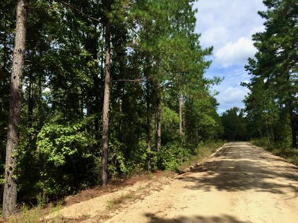 Land in Washington County, Georgia